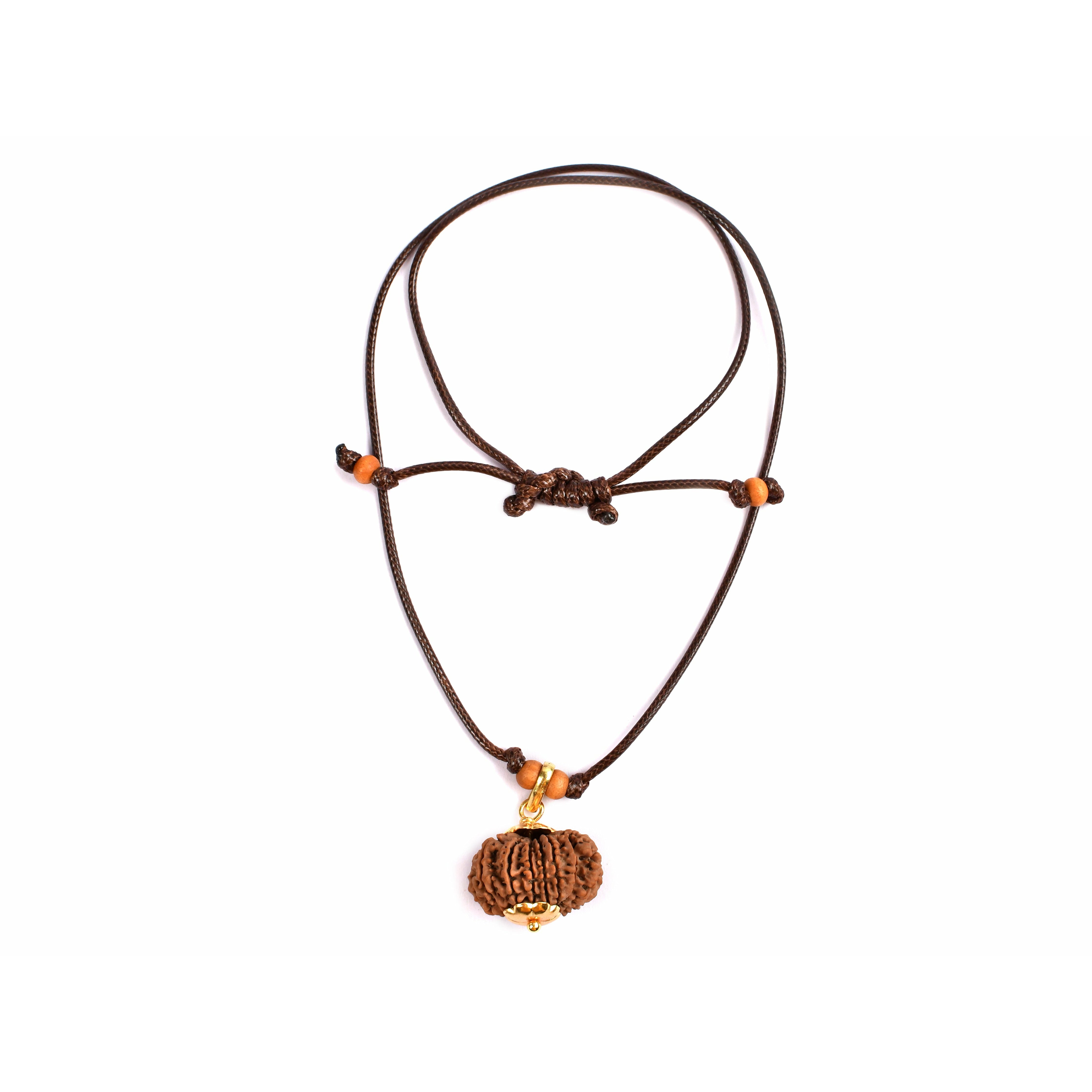 15-Augen-Rudraksha (Nepal)